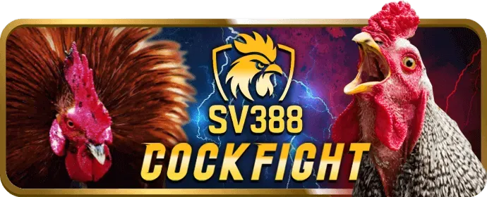 Chương trình VIP độc quyền cho thành viên PUM88
